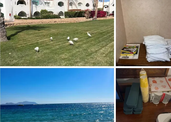N&f Coral Bay Apartment Sharm El-Sheikh